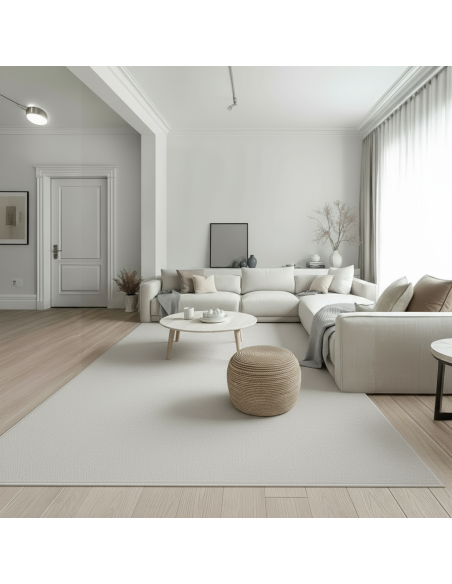 Alfombra Velvet Plata 60x90, 120x160 y 160x220 cm | Suave y elegante