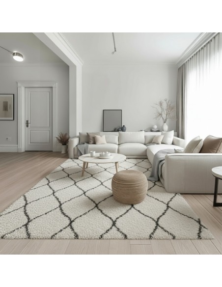 Alfombra Paris Light 120x170 y 160x230 cm | Diseño moderno en tonos claros