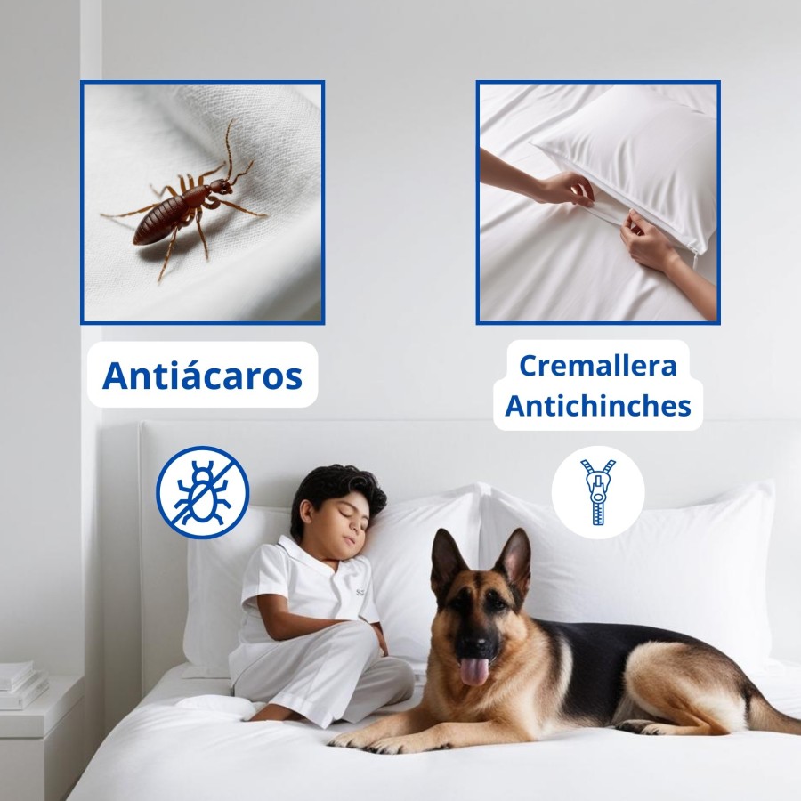 Pack 2 Fundas de Almohada Impermeables Transpirables con Cremallera | Deslan Internacional
