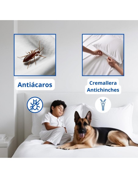 Pack 2 Fundas de Almohada Impermeables Transpirables con Cremallera | Deslan Internacional