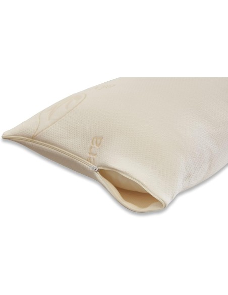 Funda de Almohada con Tejido Aloe Vera Color Beige | Deslan Internacional