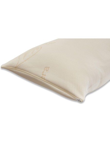 Funda de Almohada con Tejido Aloe Vera Color Beige | Deslan Internacional