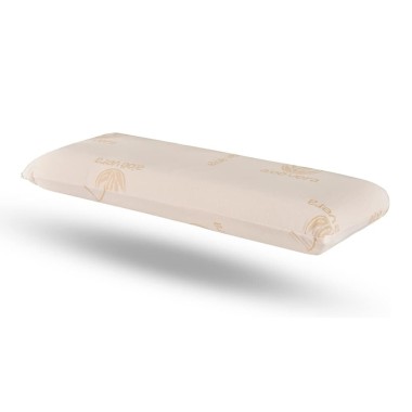 Almohada Viscoelástica Núcleo Compacto con Funda Aloe Vera | Deslan Internacional